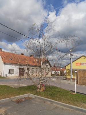 Fotogalerie